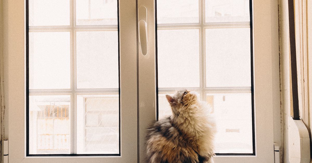 How Regular Inspections Can Extend Your Double Glazing Life