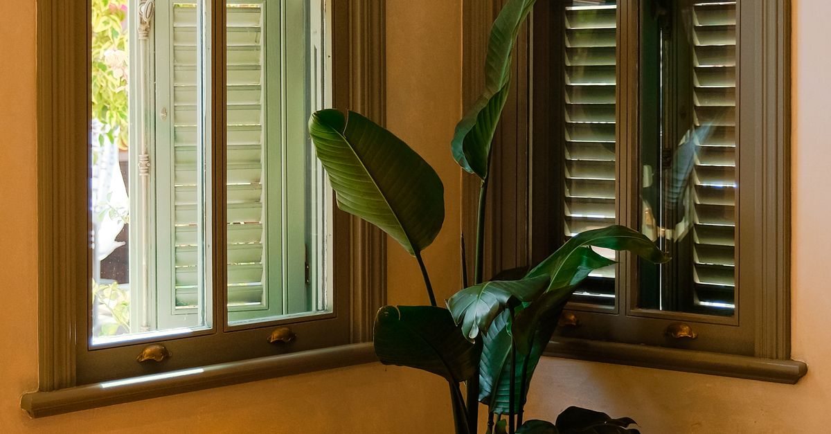 How to Determine the Best Frame Options for Double Glazing