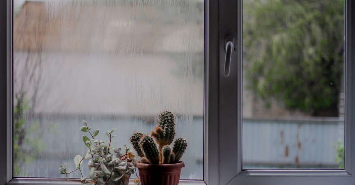 Understanding the Different Types of Glass for Double Glazing